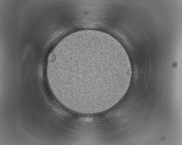 X0000116770687201001281633