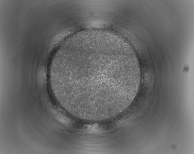 X0000116770688201001281633