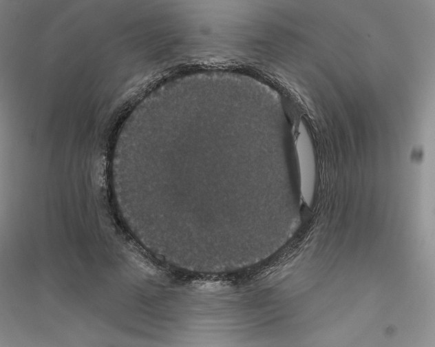X0000116770689201001281633