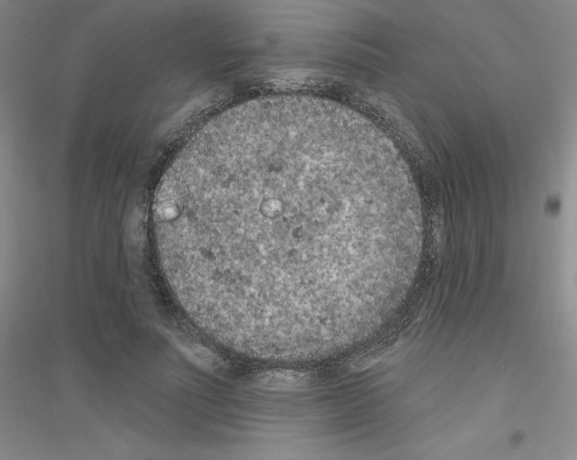 X0000116770691201001281633