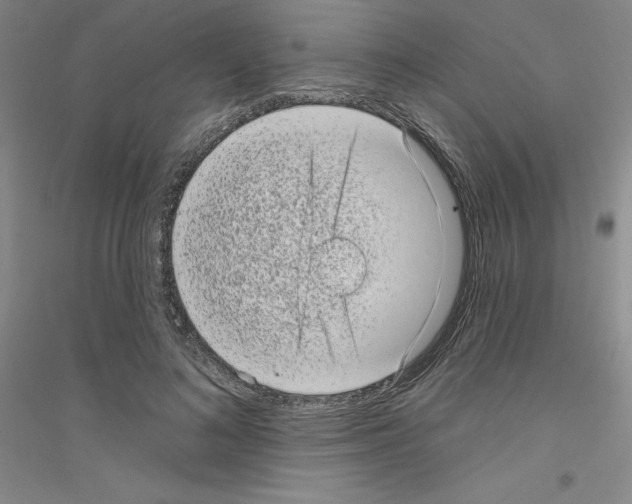 X0000116770692201001281633