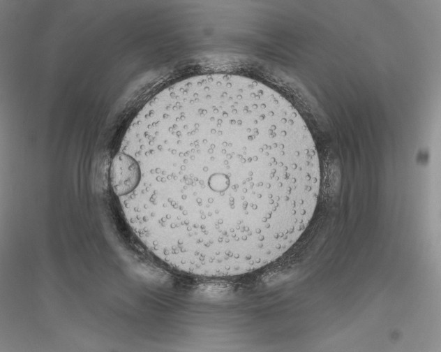 X0000116770694201001281633
