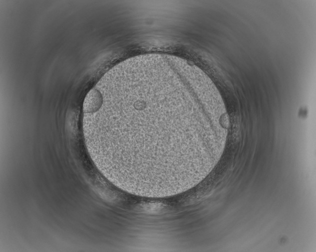 X0000116770695201001281633