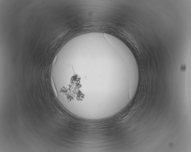 X0000116770697201001281633