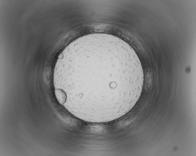 X0000116770698201001281633