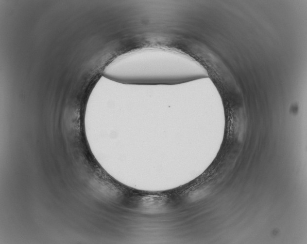 X0000116770700201001281633