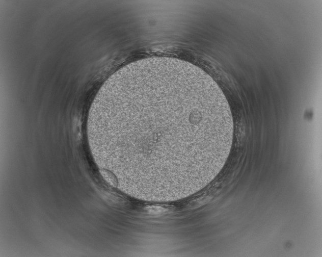 X0000116770703201001281633