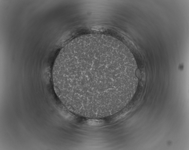 X0000116770707201001281633