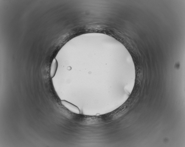 X0000116770708201001281633