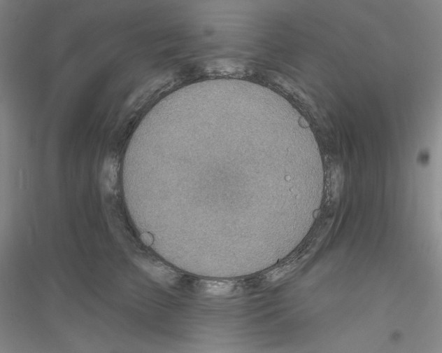 X0000116770709201001281633