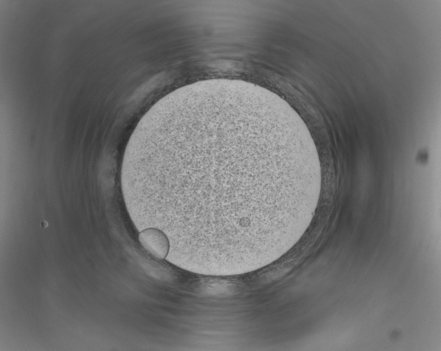 X0000116770710201001281633