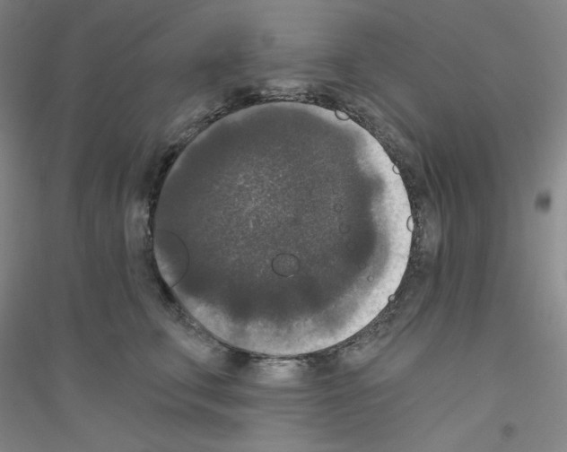 X0000116770711201001281633