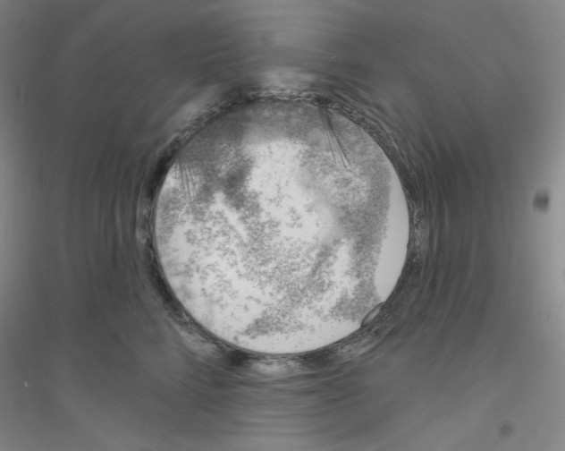 X0000116770712201001281633