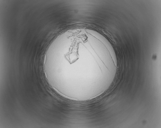 X0000116770713201001281633