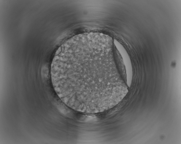 X0000116770715201001281633