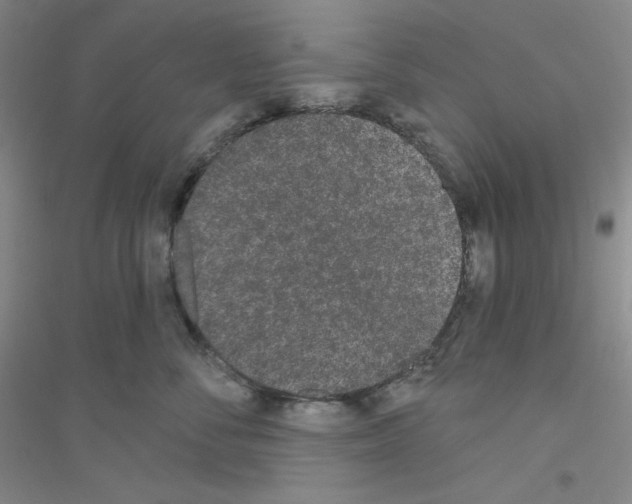 X0000116770716201001281633