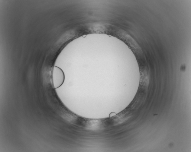 X0000116770717201001281633