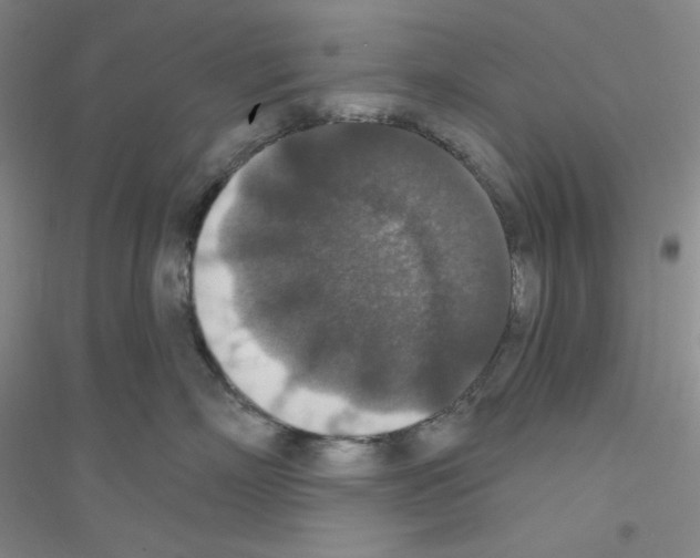 X0000116770718201001281633