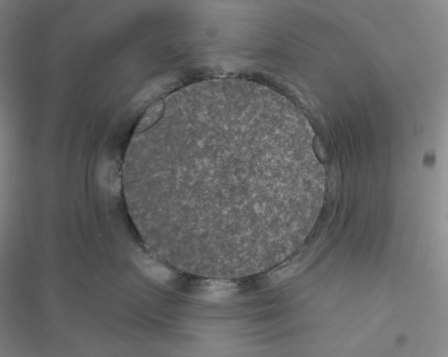 X0000116770719201001281633