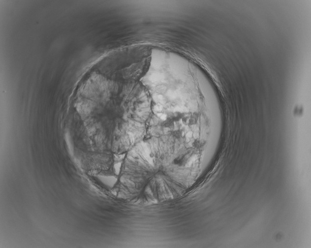 X0000116770721201001281632