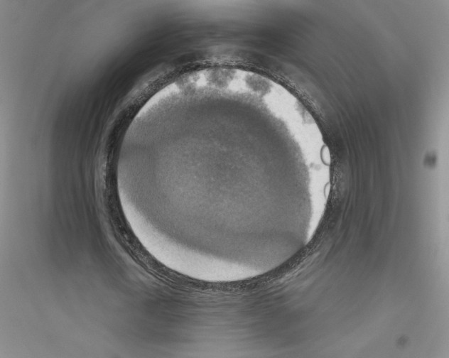 X0000116770722201001281632