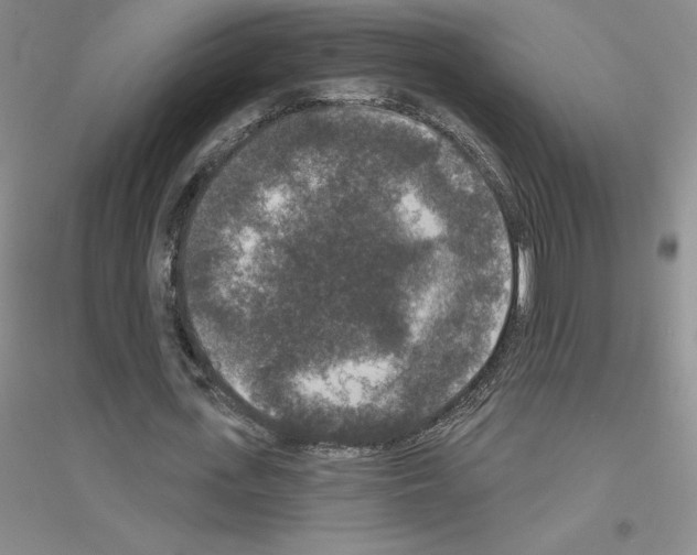 X0000116770723201001281632