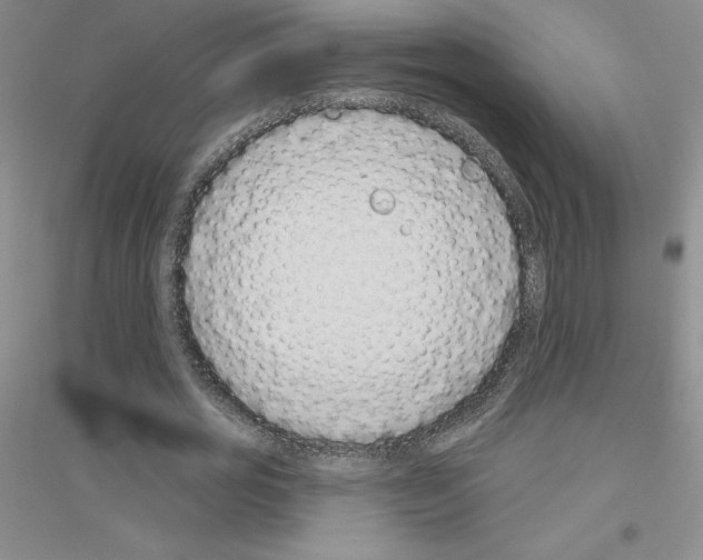 X0000116770725201001281632