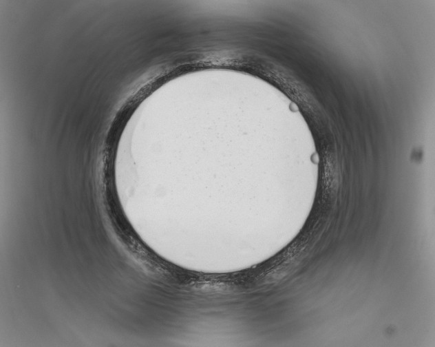 X0000116770730201001281632