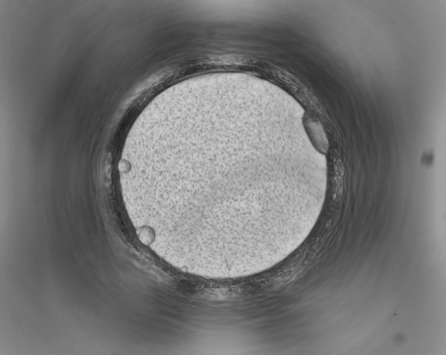 X0000116770731201001281632