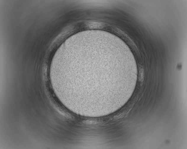 X0000116770733201001281632