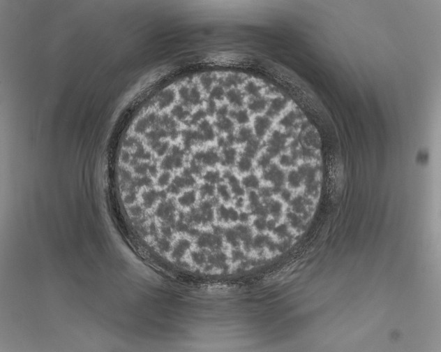 X0000116770734201001281632