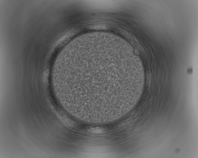 X0000116770735201001281632