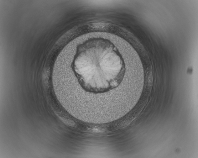 X0000116770737201001281632