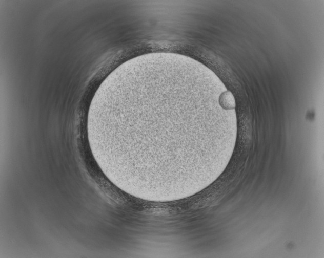 X0000116770738201001281632