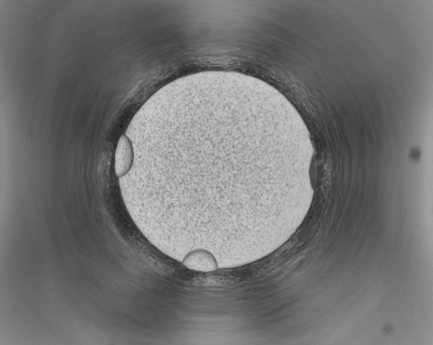 X0000116770739201001281632