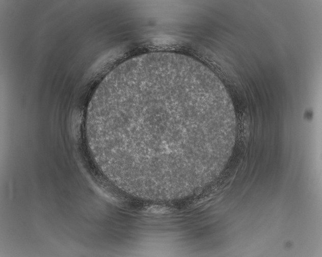 X0000116770742201001281632
