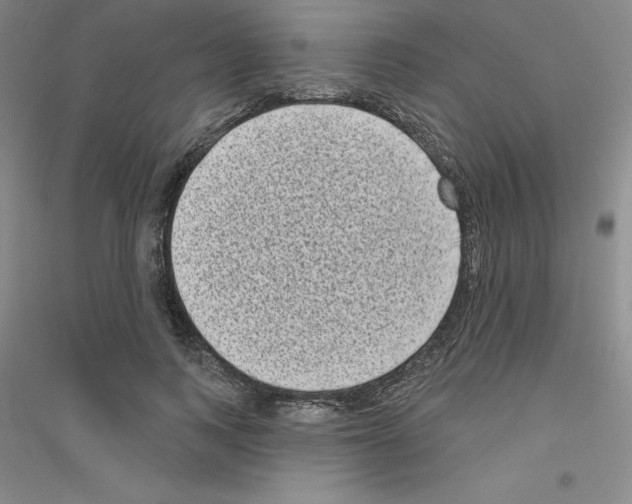 X0000116770743201001281632