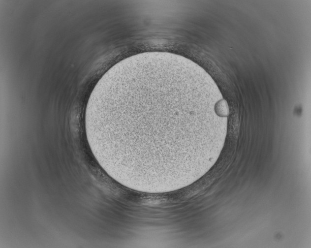 X0000116770746201001281632