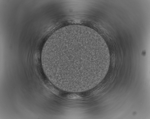 X0000116770747201001281632