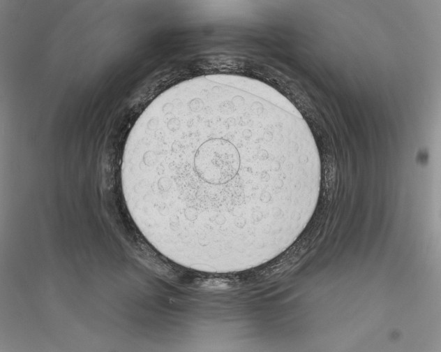 X0000116770751201001281632