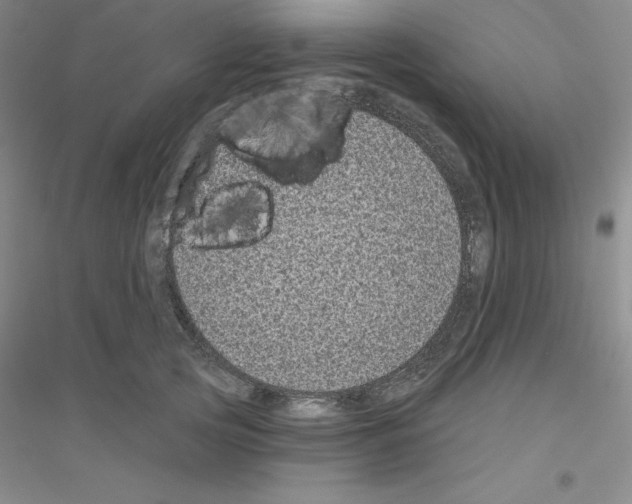 X0000116770753201001281632