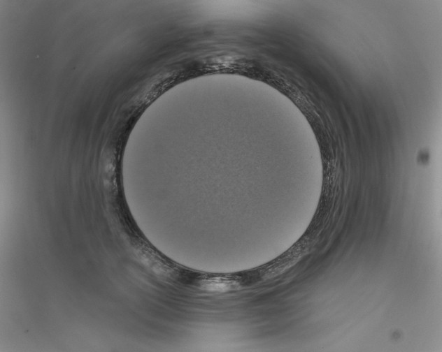X0000116770754201001281632