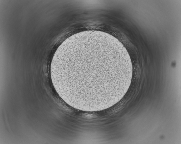 X0000116770755201001281632