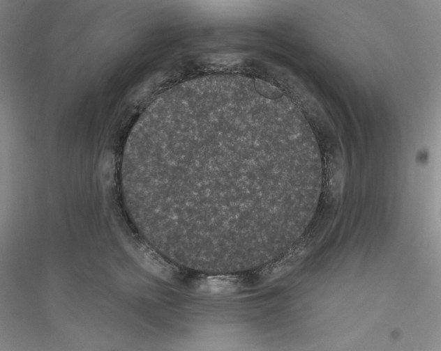 X0000116770758201001281632