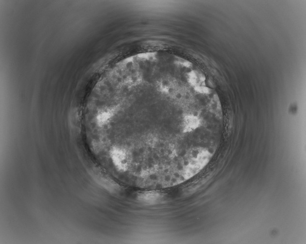 X0000116770759201001281632