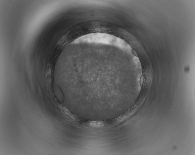 X0000116770762201001281632