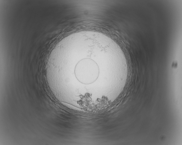 X0000116770769201001281632