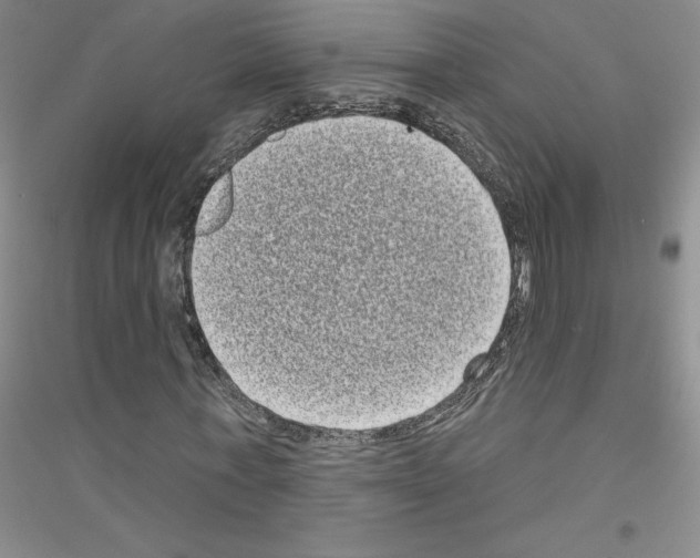 X0000116770771201001281632