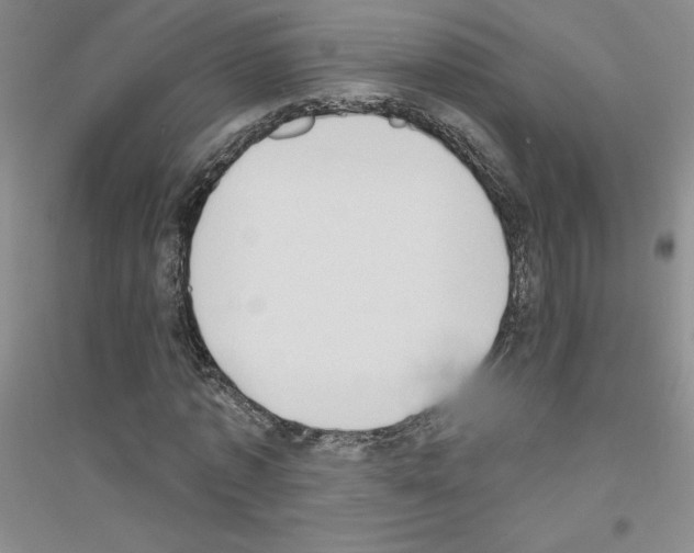 X0000116770773201001281632
