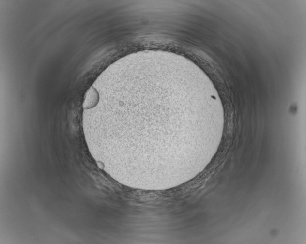 X0000116770774201001281632